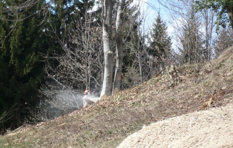 Abattage2